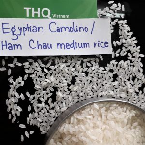 4. Egyptian Camolino/ Ham Chau medium rice