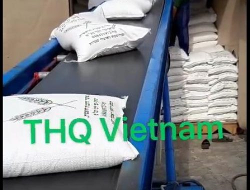 z1985486805770_37e63ca4988ad95b5c659c0a7dcb6a39