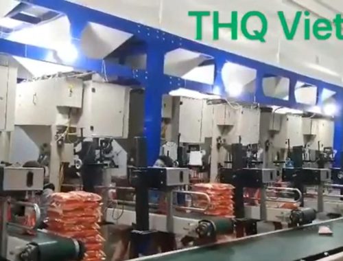 z1985492758293_7d3530b979d0a7a73796c95c43e43a92