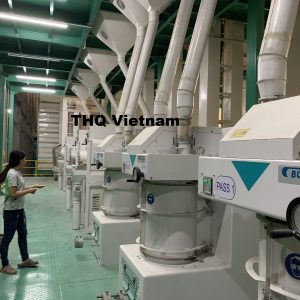 z1986432667509_5186aac2e5ce809fd353c8fba8b86559