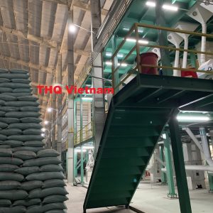 z1986433123587_d604812540078486fb115a2e4c558ede (1)