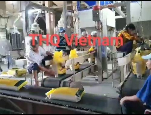 z1988710035952_0f5a05ec7f0a22f8fa60acd41356a7ea